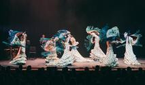 Bozar all over the P(a)lace - Nocturne