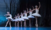 Thumbnail van Het Zwanenmeer - Charkiv City Ballet