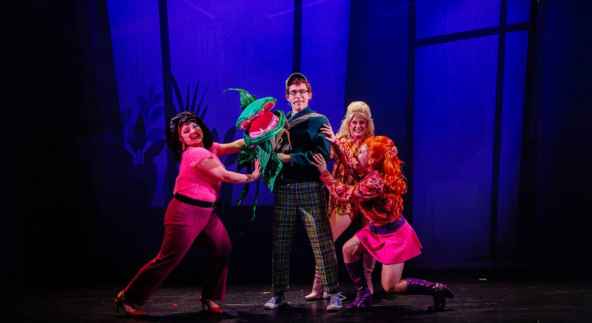 Foto 1 van de voorstelling Little Shop of Horrors (2026)