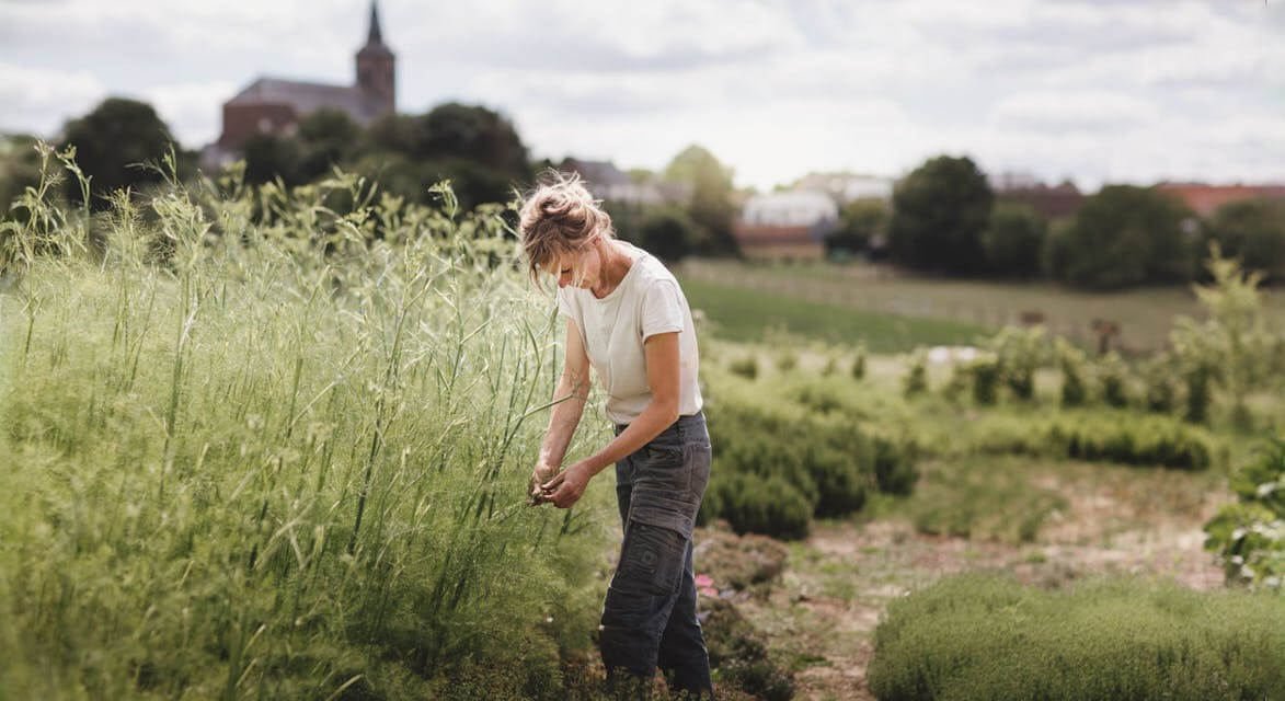 Foto van de voorstelling Workshop | Oude granen: van bioboer tot bakker in Gent